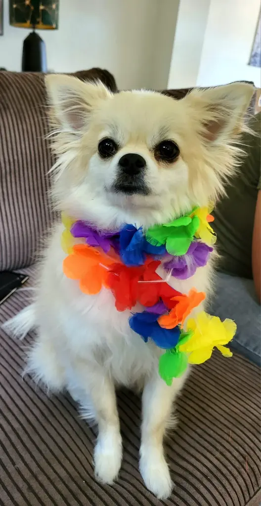 Zoë orginele foto.webp