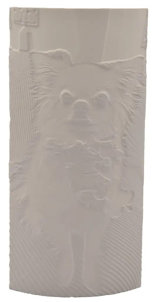 3d geprinte foto